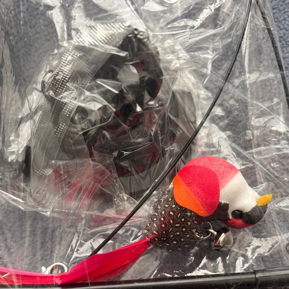 Colorful Cat Toy Set with Feathers